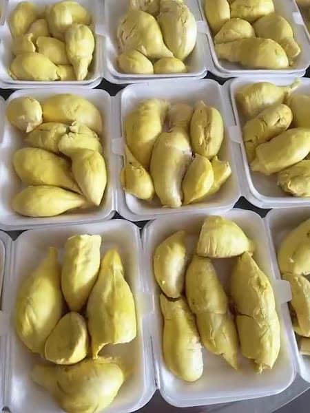 Hình ảnh Vườn trái cây cô Huyền - 2