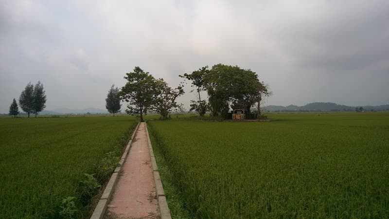 Hình ảnh Di Tích Cồn Miệu - 3