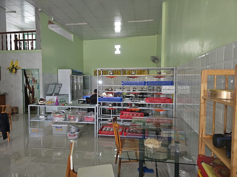 Yến Việt Miền Trung