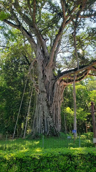 Hình ảnh Giếng cổ Lam Sơn - 3