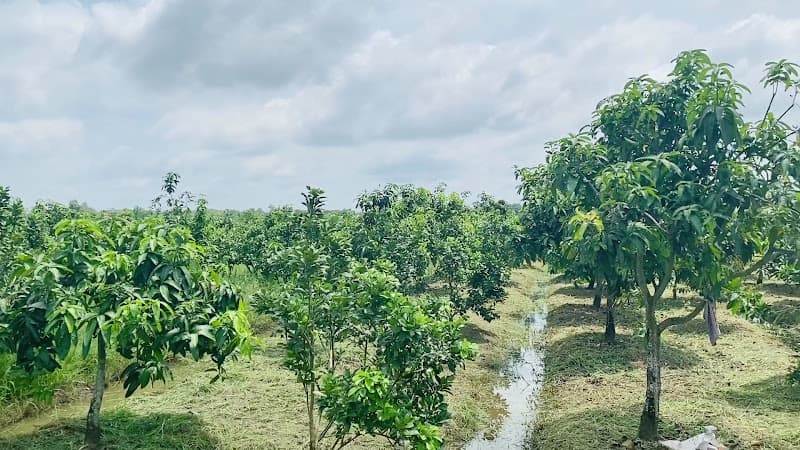 Hình ảnh HALO Farm - Happiness & Love - 3