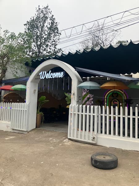 Hình ảnh Sweet tea - 4