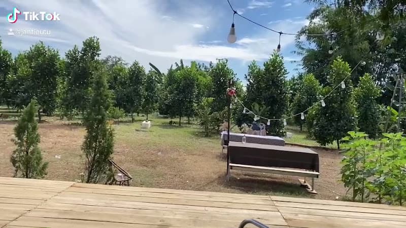 Hình ảnh Hotaru coffee - 3