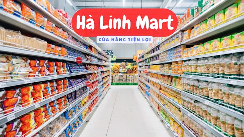 Hình ảnh CỬA HÀNG TIỆN LỢI - HÀ LINH MART - 4