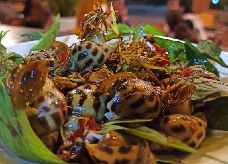 Hình ảnh ỐC ĐẢO - 2