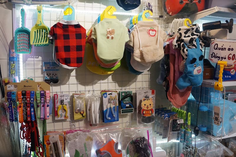 Hình ảnh COn Mều Shop - Cửa Hàng Thú Cưng Hải Dương - 6