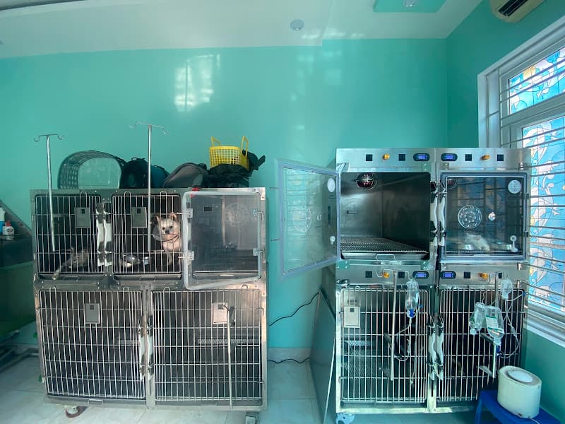 Hình ảnh Island Pet - 8