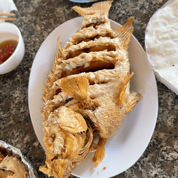 Hình ảnh Hồ Cá Ngoại Ô - 3