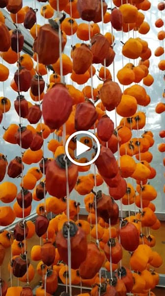 Hình ảnh Bánh mỳ xíu mại chén Gia phúc - 2