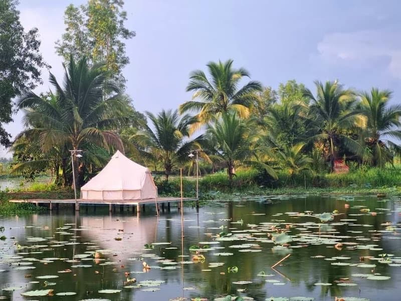 Hình ảnh Phú Điền Homestay - 3