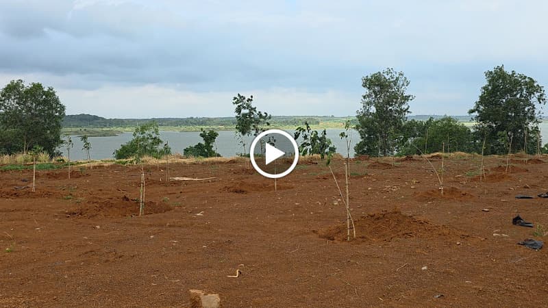 Hình ảnh Song Ray Lake Camping (Tạm đóng cửa để sửa chữa, nâng cấp) - 6