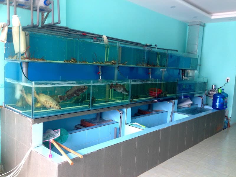 Hình ảnh Hải sản Hoa Biển Ha long - 3