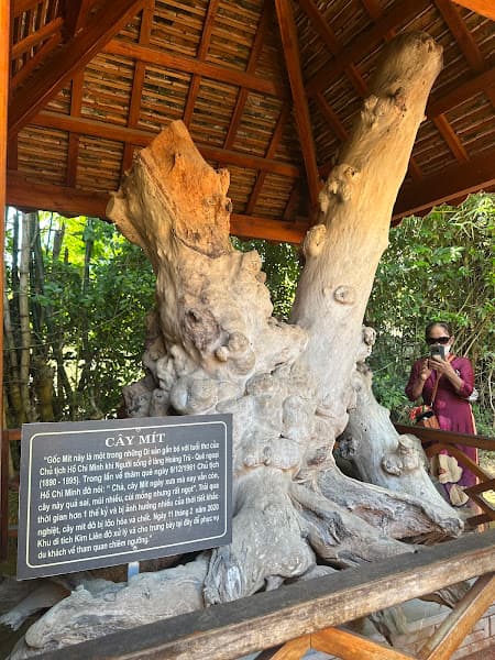 Hình ảnh Khu di tích Kim Liên - 3