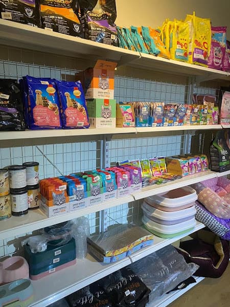 Hình ảnh DIPET petspa và trông giữ chó mèo - 2