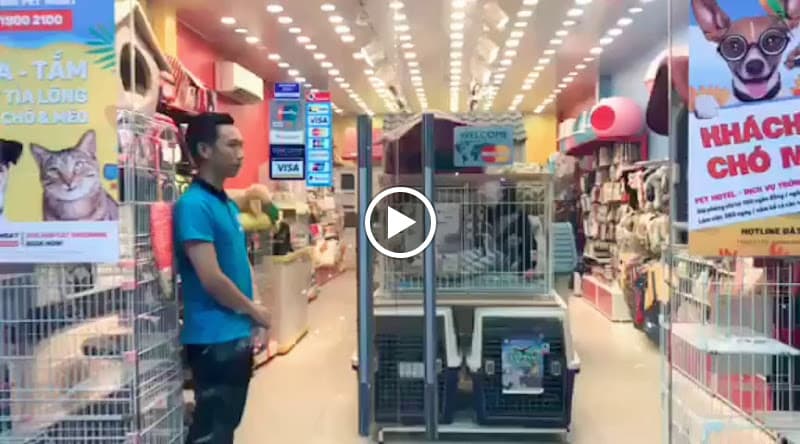 Hình ảnh Pet Hotel - Khách sạn trông giữ chó mèo TP.HCM - 5