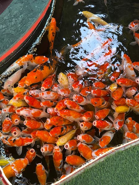 Hình ảnh Rock King Coffee Long Koi Hưng Yên - 4