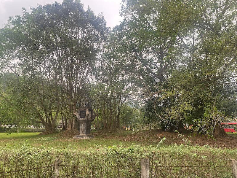 Hình ảnh Cây đa Tân Trào - 3