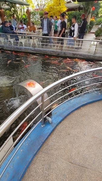 Hình ảnh Cafe Tenis paradise - 4