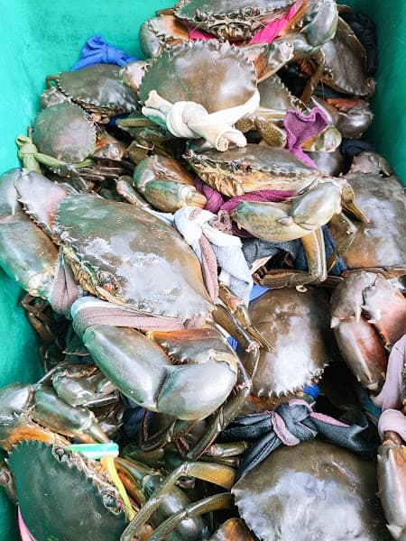 Hình ảnh Hải Sản - Gò Dầu Tây Ninh - 3