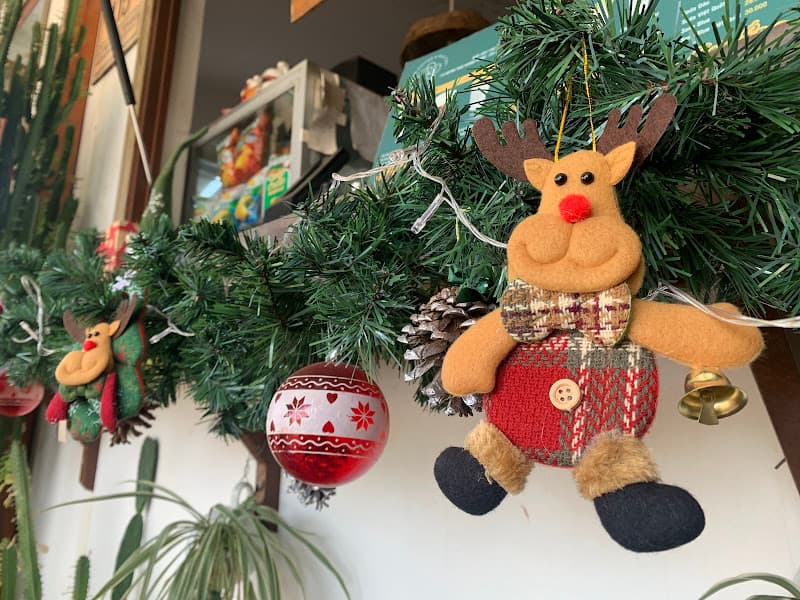 Hình ảnh The FAN - 4