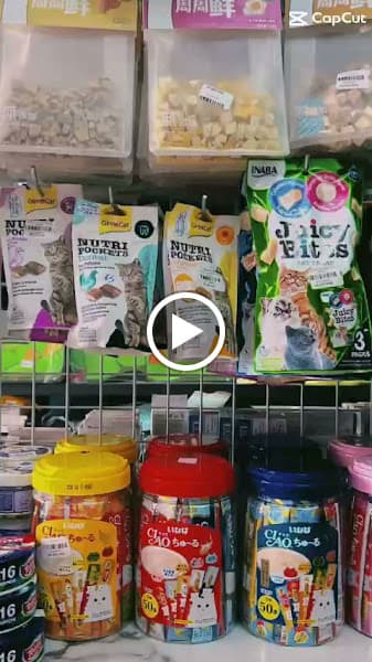 Hình ảnh Mập Petshop - 2