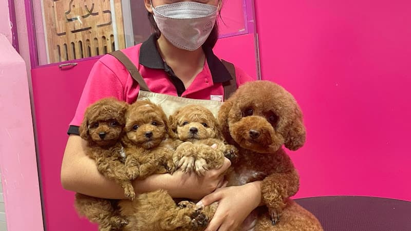 Hình ảnh Ria Mép Petshop ( Siêu thị mua sắm,spa thú cưng) - 3