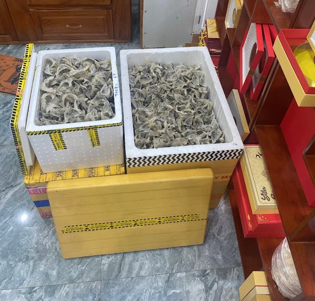 Hình ảnh Yến sào Quang phát - 4