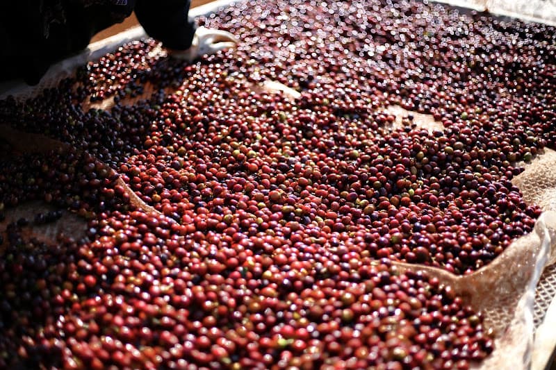 Hình ảnh Là Việt Coffee Láng Hạ - 6