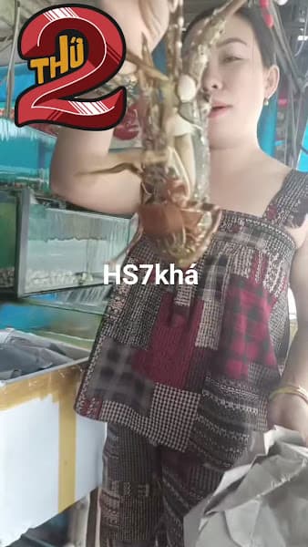 Hình ảnh Hải Sản Tươi Sống Bảy Khá - 3