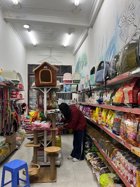 Hình ảnh Cutepets - Cửa hàng thú cưng Kim Giang - 3