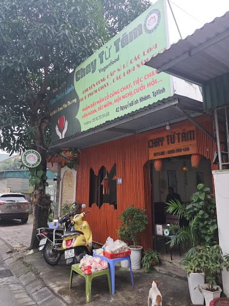 Ảnh bìa Chay Tư Tâm