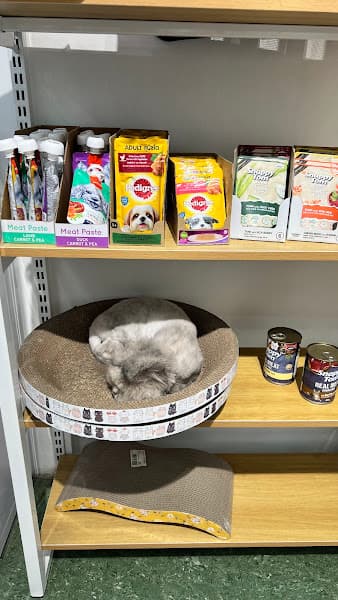 Hình ảnh Bệnh viện thú y EraVet - Văn Cao - 3