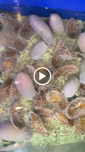 Hình ảnh Win Seafood - Hải sản Huế 🦐🦀🐟🐙🦑 - 4