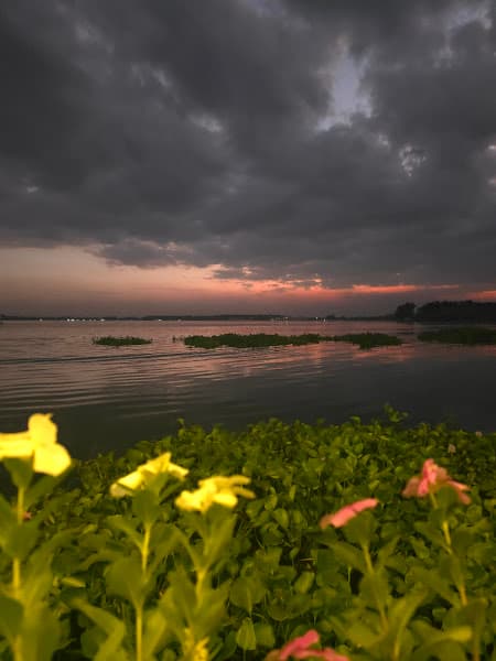 Hình ảnh Ruby Glamping - 5