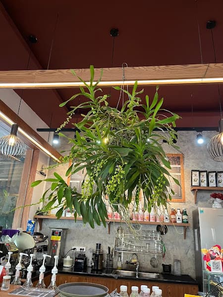 Hình ảnh Maxko coffee - 6