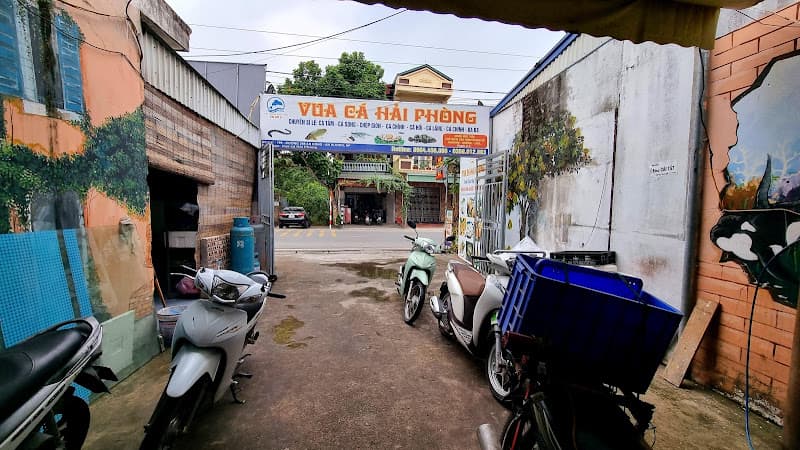 Hình ảnh Vua Cá Hải Phòng - 4