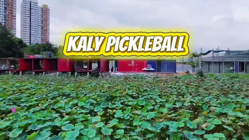 Hình ảnh Kaly Pickleball - 4