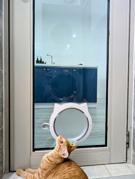 PETDOOR - LẮP ĐẶT CỬA THÚ CƯNG - CỬA CHO CHÓ MÈO