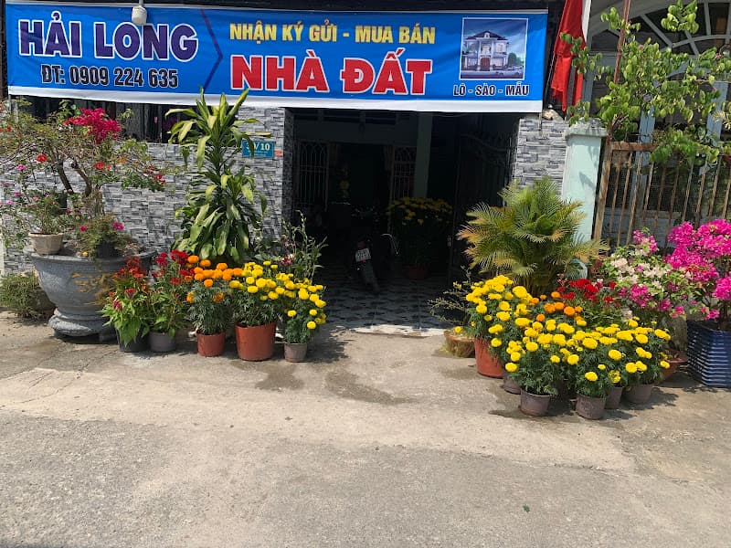 KDC MIỀN ĐÔNG XÃ THẠNH PHÚ VĨNH CỬU ĐỒNG NAI