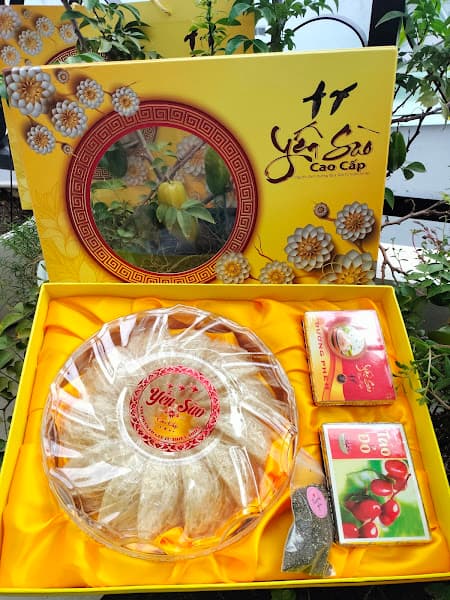 Ảnh bìa Yến Sào Ông Chiến Bà Mười