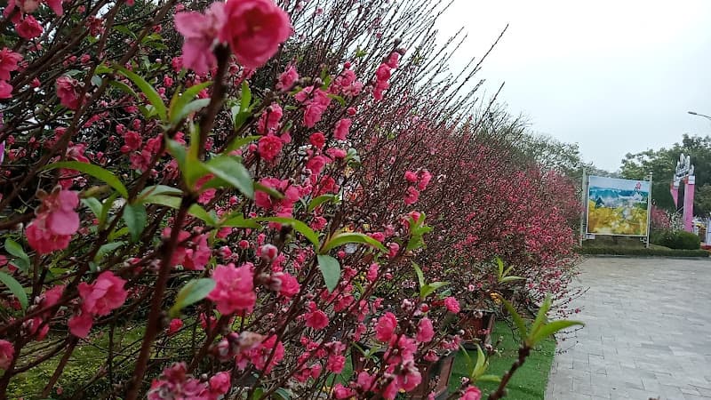 Hình ảnh Công viên Bờ Sông Kỳ Cùng - 4