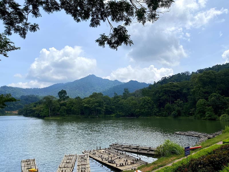 Hình ảnh Khu di tích Quốc gia đặc biệt Tân Trào - 4