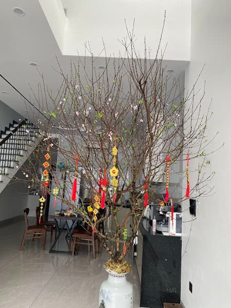 Hình ảnh Hùng Nguyễn Pickleball - 3