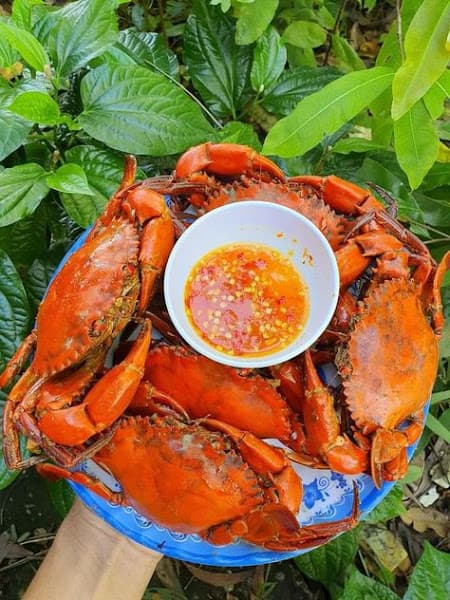 Hình ảnh Hải sản Bé Tân - 4