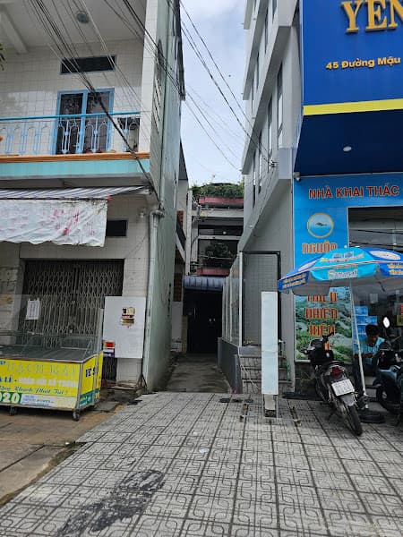 Hình ảnh Yến Sào Khánh Hòa - 3