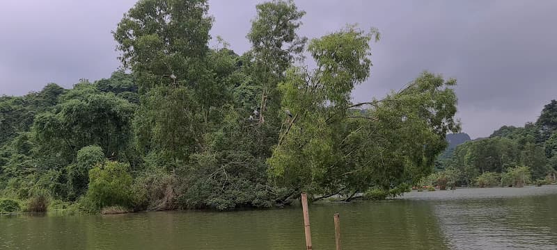 Hình ảnh Khu du lịch sinh thái Thung Nham - Ninh Bình - 6