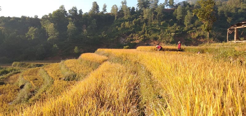 Hình ảnh Khu Di Tích Lịch Sử Bản Lướt - 4