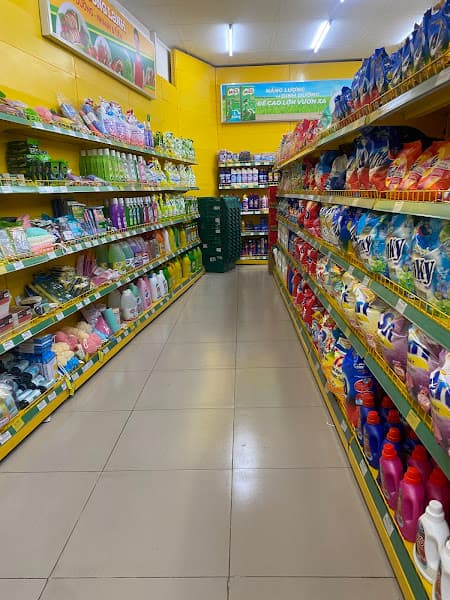 Hình ảnh Siêu thị Bách hoá XANH Phạm Hữu Lầu - 2