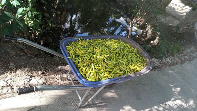 Hình ảnh Quán ăn gia đình Quốc Duy - 8