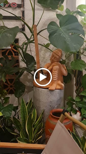 Hình ảnh Dân 70 - Tea & more - 3